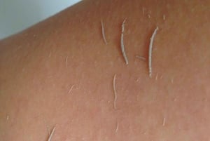 Marrakech: Traditionele MRC Hammam en Massage met Arganolie