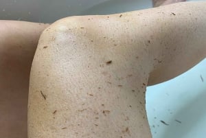 Marrakech: Traditionele MRC Hammam en Massage met Arganolie