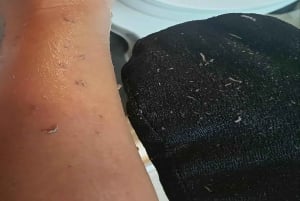 Marrakech: Traditionele MRC Hammam en Massage met Arganolie