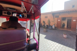 Marrakech Tuk-Tuk Tour with Photography Museum+Secret Garden