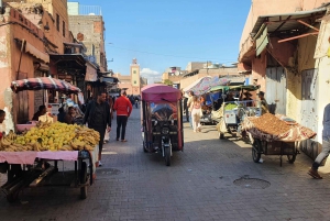 Tour de Marrakech en Tuk-Tuk avec Musée de la Photographie+Jardin secret