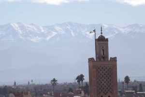 Tour de Marrakech en Tuk-Tuk avec Musée de la Photographie+Jardin secret