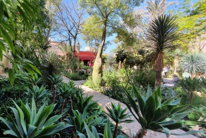 Tour de Marrakech en Tuk-Tuk avec Musée de la Photographie+Jardin secret