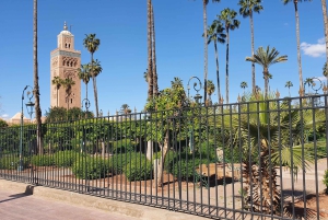 Tour de Marrakech en Tuk-Tuk avec Musée de la Photographie+Jardin secret