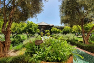 Tour de Marrakech en Tuk-Tuk avec Musée de la Photographie+Jardin secret