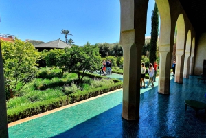 Tour de Marrakech en Tuk-Tuk avec Musée de la Photographie+Jardin secret