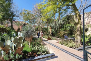 Tour de Marrakech en Tuk-Tuk avec Musée de la Photographie+Jardin secret