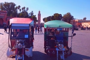Marrakech Tuktuk+Guide+Bahia palace+Madrassa+ Souks