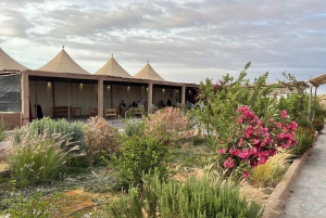 Marraquexe: estadia única no deserto com jantar e espetáculo