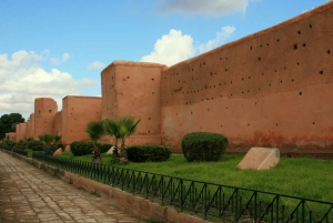Marrakech: Dinner in Agfay Desert, Camel Ride & Fire Show