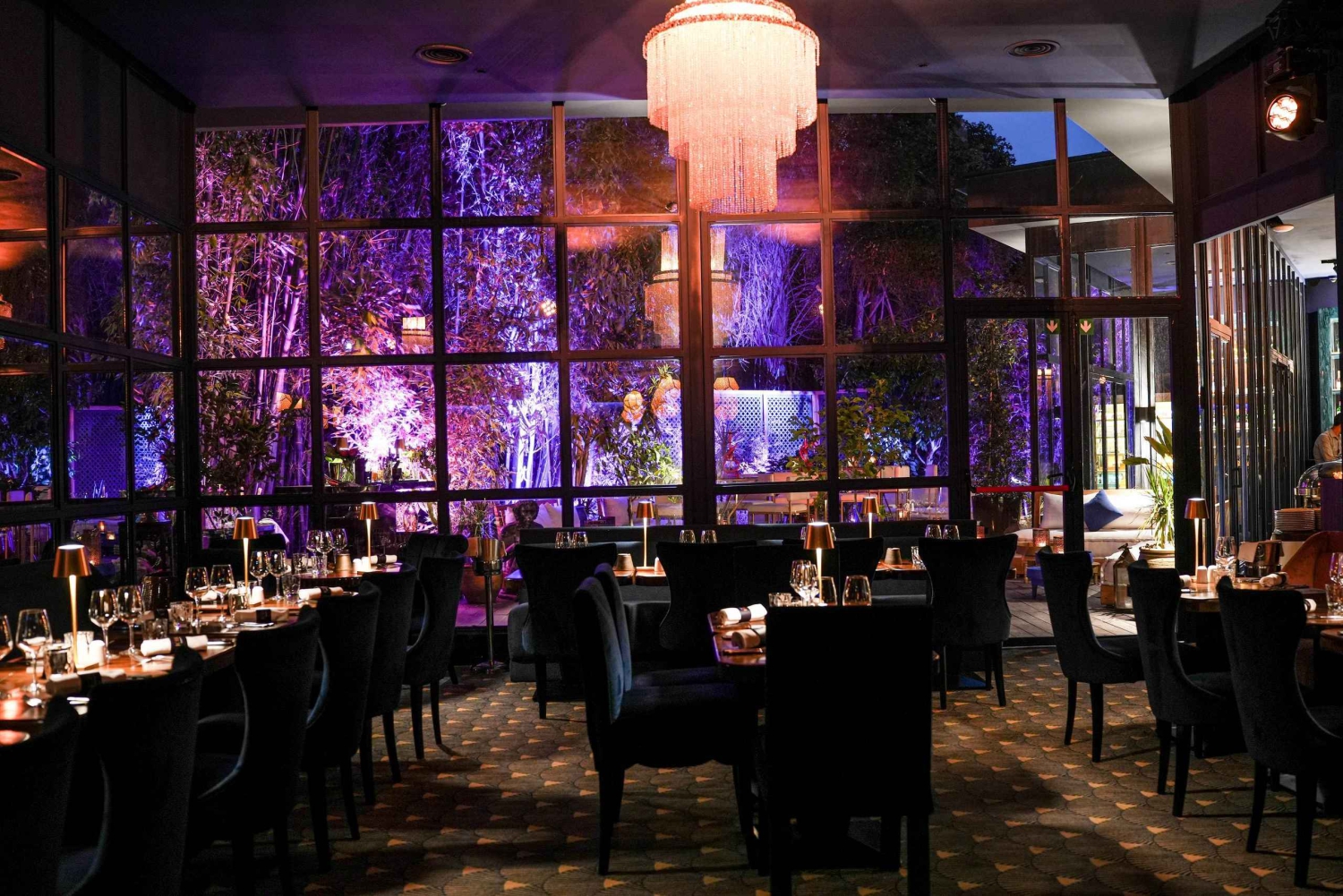 Marrakech: Levende middagsshow på The Lotus Club