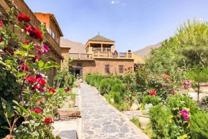 Marrakech: Excursión por el Valle del Ourika y el Atlas con almuerzo