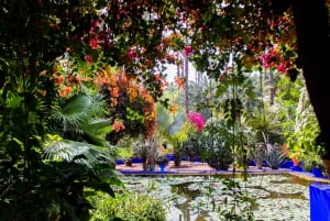 Marrakech: Majorelle Garden and YSL Museum Entry Ticket