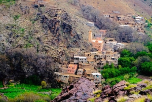 Marrakech's Atlas Adventures Ourika-dalen og velsmakende lunsj