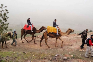 Marrakech's Atlas Adventures Ourika-dalen og velsmakende lunsj