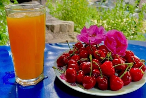 Marrakech's Atlas Adventures Ourika-dalen og velsmakende lunsj