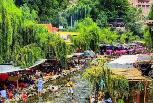 Marrakech's Atlas Adventures Ourika-dalen og velsmakende lunsj