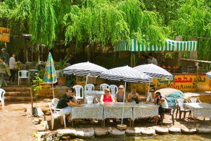 Marrakech's Atlas Adventures Ourika-dalen og velsmakende lunsj