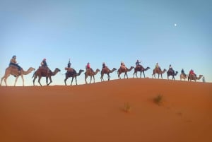 Marrakesh: 3-dages tur til Fez med Merzouga ørkencamping