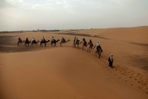 Marrakesh: 3-dages tur til Fez med Merzouga ørkencamping
