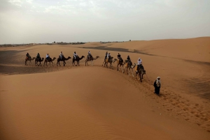 Marrakesh: 3-Day Tour to Fez with Overnight Desert Camping