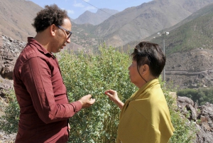 Marrakech: excursión de 1 día a 3 valles, montañas del Atlas y cascadas