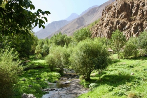 Marrakesh: 3 Valleys, Atlas Mountains, & Waterfalls Day Trip