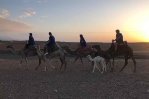 Marrakesh: Tour del deserto di Agafay in quad e a dorso di cammello con cena