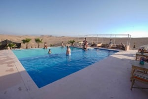 Marrakech: Agafay Desert Quad, Camel or Pool Day with Lunch