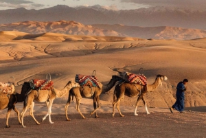 Marrakech: Puesta de sol en el desierto de Agafay, paseo en camello y cena espectáculo