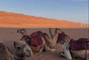 Marrakech: Dagsutflykt till Ourikadalen och vandring till vattenfall