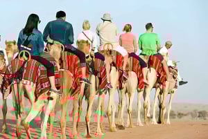 Marrakech: Agafay Desert Sunset, Camel Ride, Dinner and Show