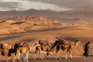 Marrakesh: Excursão ao deserto de Agafay com almoço e piscina