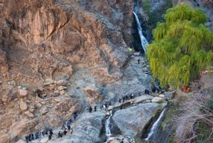 Marrakech: Atlante, Ourika, villaggi berberi e pranzo