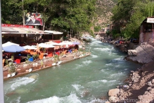 Marrakech: Atlante, Ourika, villaggi berberi e pranzo