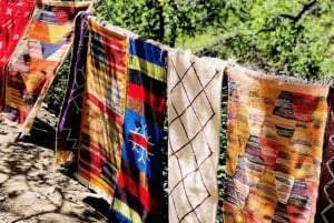Marrakech : montagnes de l'Atlas, vallée de l'Ourika, cascade / guide