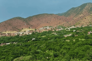 Marrakech : montagnes de l'Atlas, vallée de l'Ourika, cascade / guide