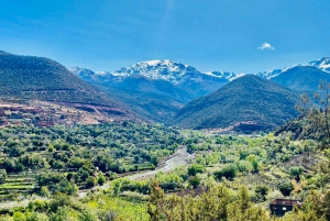 Marrakesh: Atlas Mountains, Three Valleys & Waterfalls Tour