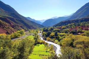 Marrakesh: Atlas Mountains, Three Valleys & Waterfalls Tour