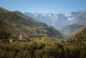 Marrakesh: Atlasgebergte, Drie Valleien & Watervallen Tour