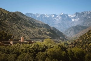 Marrakesh: tour delle montagne dell'Atlante, delle tre valli e delle cascate