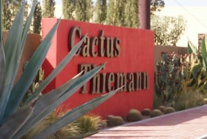 Marrakech: Entrada Cactus Thiemann