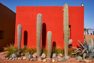 マラケシュ：カクタス・ティマン入場チケットをご覧ください