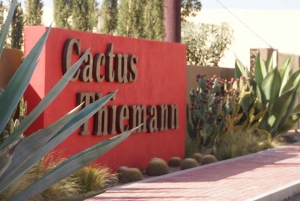 マラケシュ：カクタス・ティマン入場チケットをご覧ください