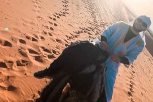 Marrakech: Agafay-ørkenens magiske middag, kameltur og solnedgang
