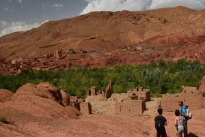 Marrakesh: Desert & Mountain Tour with Camel Ride & Lunch