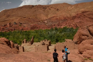 Marrakesh: Full-Day Desert and Mountain Tour with Camel Ride