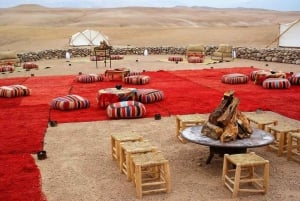 Dagtocht door de woestijn en bergen met kameeltocht
