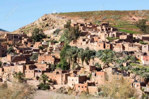 Marrakesh: Kokopäiväretki aavikolle ja vuoristoon kameliratsastuksen kanssa