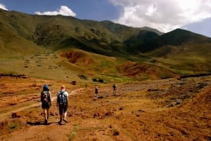 Marrakesch: Ganztägige Wüsten- und Bergtour mit Kamelritt